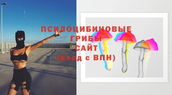 мдпв Балахна