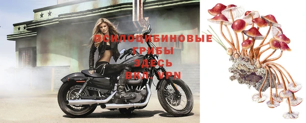 метадон Балабаново